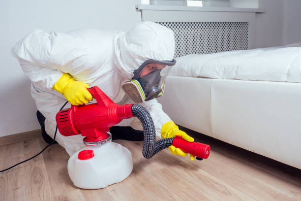Best Flea Control Services  in Escondido, CA
